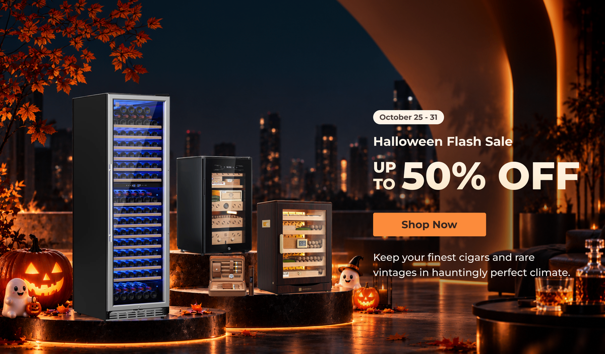 Halloween Flash Sale UP TO 50% OFF