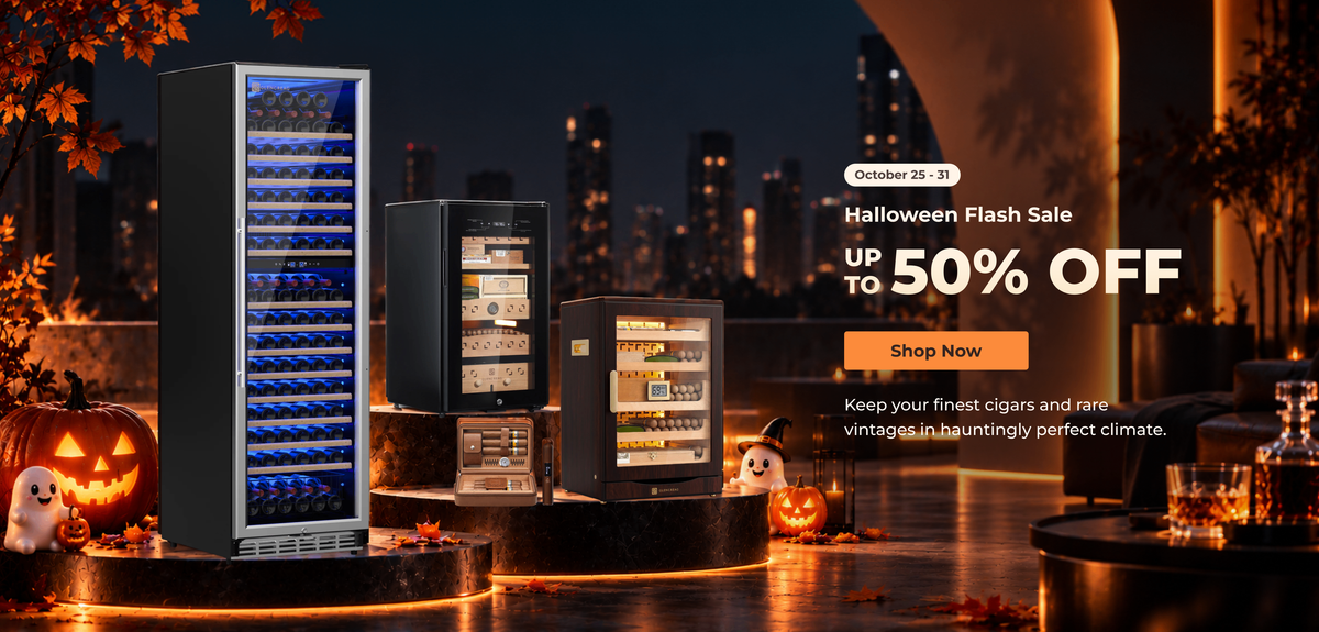 Halloween Flash Sale UP TO 50% OFF