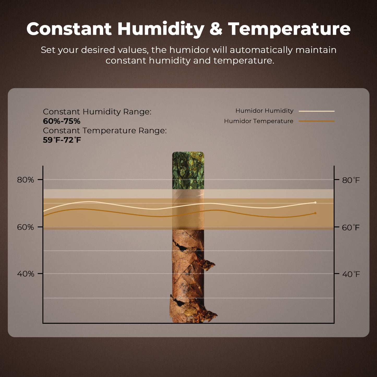 MNC-4041 Electric Humidor Cabinet, 250 Counts