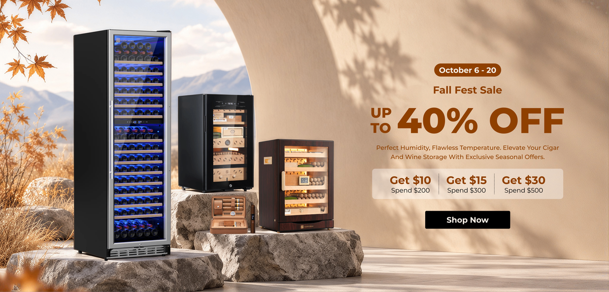 Fall Fest Sale and Up to 40% Off