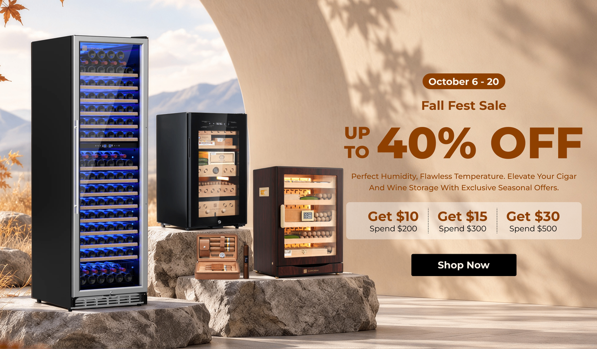 Fall Fest Sale and Up to 40% Off
